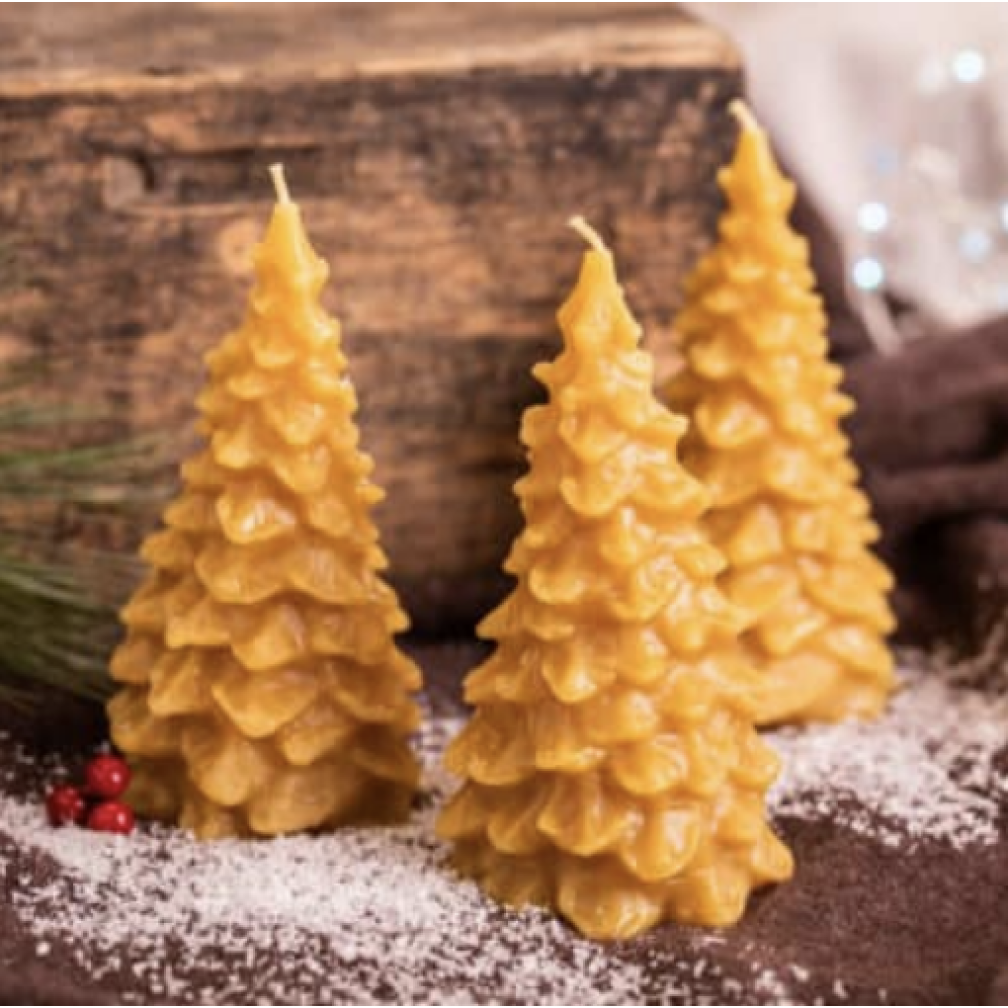 100% Pure Beeswax Maine Pine Tree Candle