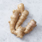 Maine Mousse: Gentle Ginger